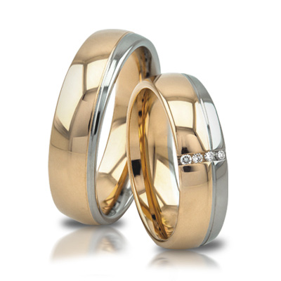 <strong>AE06 | Trauringpaar</strong></br>(585 Gold)